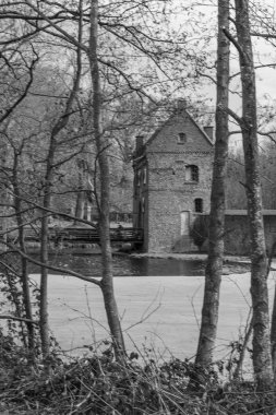 Bahar zamanı Barlo 'da Bocholt yakınlarındaki Westphalia' da