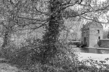 Bahar zamanı Barlo 'da Bocholt yakınlarındaki Westphalia' da