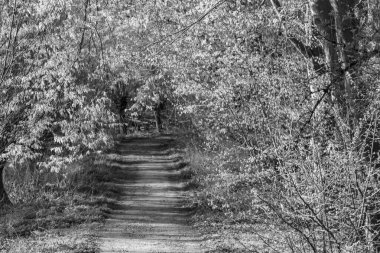 İlkbaharda Gescher yakınlarında bir gölde yürüyüş.