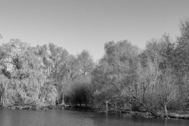 İlkbaharda Gescher yakınlarında bir gölde yürüyüş.
