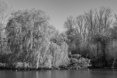 İlkbaharda Gescher yakınlarında bir gölde yürüyüş.