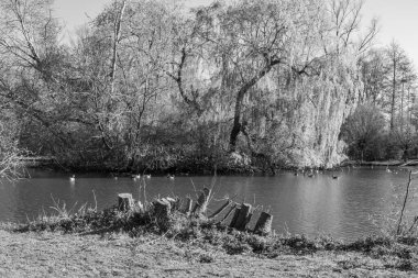 İlkbaharda Gescher yakınlarında bir gölde yürüyüş.