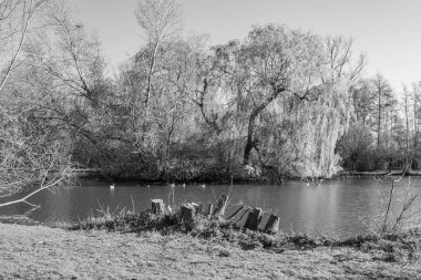 İlkbaharda Gescher yakınlarında bir gölde yürüyüş.