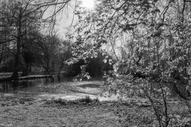 İlkbaharda Gescher yakınlarında bir gölde yürüyüş.