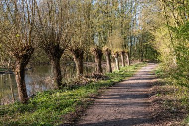 İlkbaharda Gescher yakınlarında bir gölde yürüyüş.