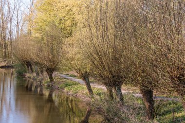 İlkbaharda Gescher yakınlarında bir gölde yürüyüş.