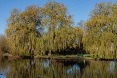 Alman Muensterland 'inde bahar geldi.