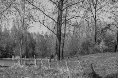 Bahar zamanı Hollanda 'nın Bredevoort kenti