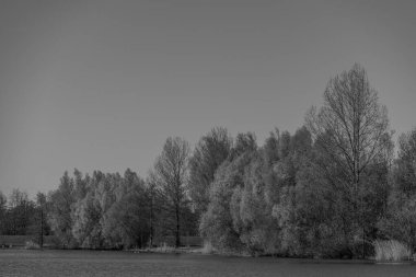 Bahar zamanı Hollanda 'nın Bredevoort kenti