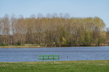 Bahar zamanı Hollanda 'nın Bredevoort kenti