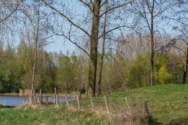Bahar zamanı Hollanda 'nın Bredevoort kenti