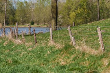 Bahar zamanı Hollanda 'nın Bredevoort kenti