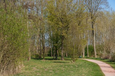 Bahar zamanı Hollanda 'nın Bredevoort kenti