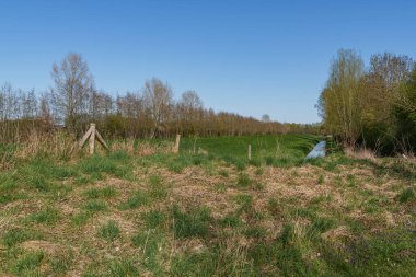 Bahar zamanı Hollanda 'nın Bredevoort kenti