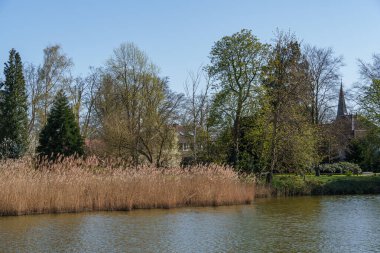 Bahar zamanı Hollanda 'nın Bredevoort kenti