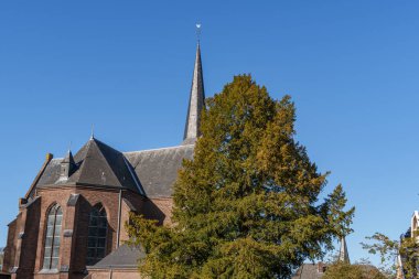 Bahar zamanı Hollanda 'nın Bredevoort kenti