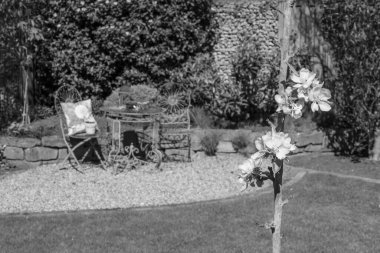 Alman Muensterland 'inde bahar geldi.