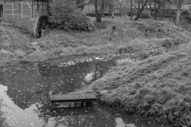 Alman Muensterland 'inde bahar geldi.