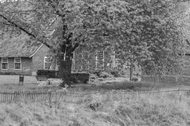 Alman Muensterland 'inde bahar geldi.