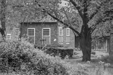 Alman Muensterland 'inde bahar geldi.