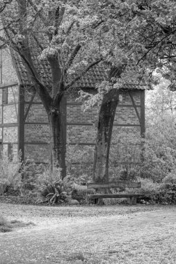 Alman Muensterland 'inde bahar geldi.