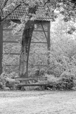 Alman Muensterland 'inde bahar geldi.