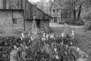 Alman Muensterland 'inde Vreden' de bahar geldi.