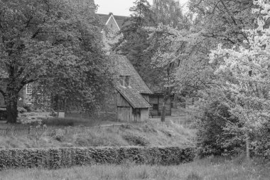 Alman Muensterland 'inde Vreden' de bahar geldi.