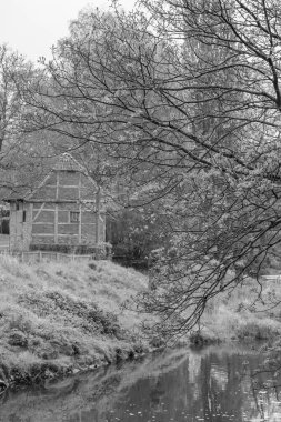 Alman Muensterland 'inde Vreden' de bahar geldi.