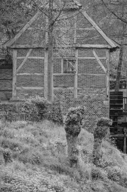 Alman Muensterland 'inde Vreden' de bahar geldi.