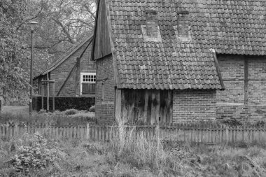 Alman Muensterland 'inde Vreden' de bahar geldi.