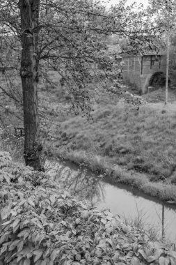 Alman Muensterland 'inde Vreden' de bahar geldi.