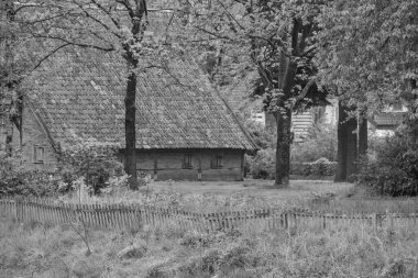 Alman Muensterland 'inde Vreden' de bahar geldi.