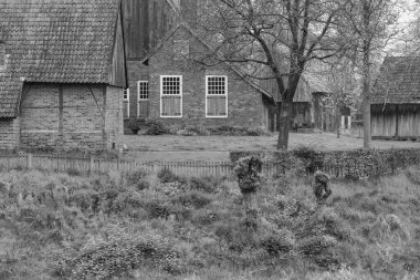 Alman Muensterland 'inde Vreden' de bahar geldi.