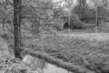 Alman Muensterland 'inde Vreden' de bahar geldi.