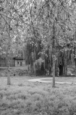 Alman Muensterland 'inde Vreden' de bahar geldi.