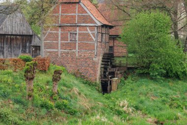 Alman Muensterland 'inde Vreden' de bahar geldi.