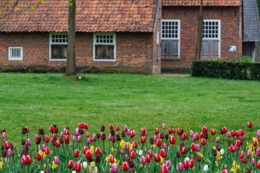 Alman Muensterland 'inde Vreden' de bahar geldi.