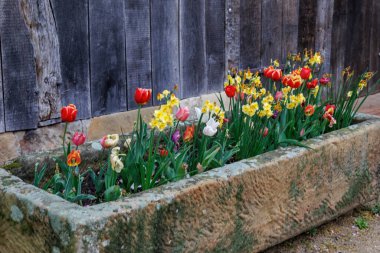 Westphalia 'daki Vreden şehrinde bahar geldi.