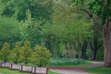 Westphalia 'daki Vreden şehrinde bahar geldi.