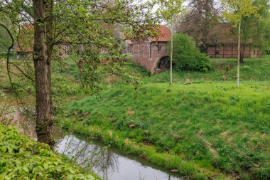 Westphalia 'daki Vreden şehrinde bahar geldi.