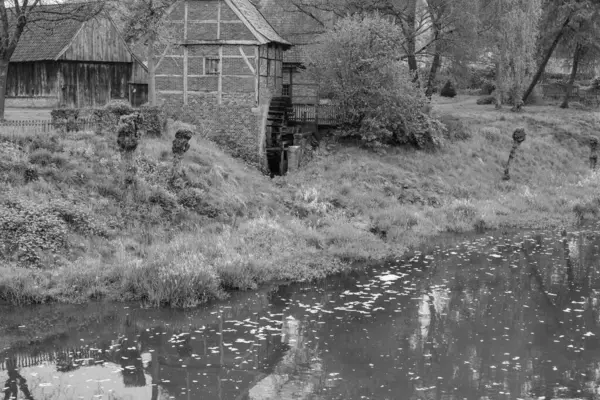 Alman Muensterland 'inde bahar geldi.