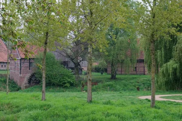 Alman Muensterland 'inde Vreden' de bahar geldi.