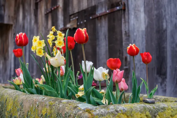 Westphalia 'daki Vreden şehrinde bahar geldi.