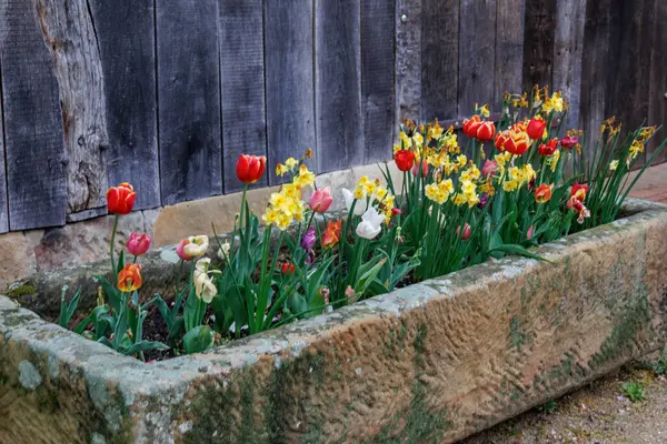 Westphalia 'daki Vreden şehrinde bahar geldi.
