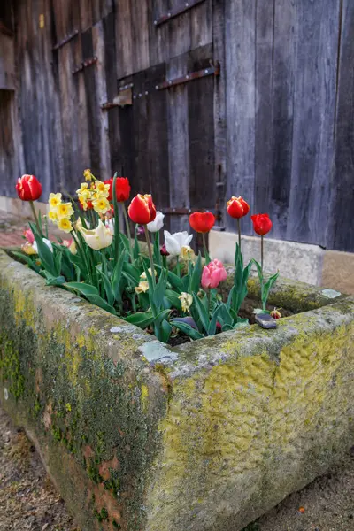 Westphalia 'daki Vreden şehrinde bahar geldi.