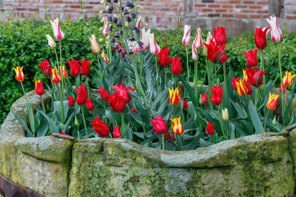 Westphalia 'daki Vreden şehrinde bahar geldi.