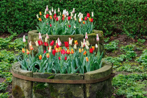 Westphalia 'daki Vreden şehrinde bahar geldi.