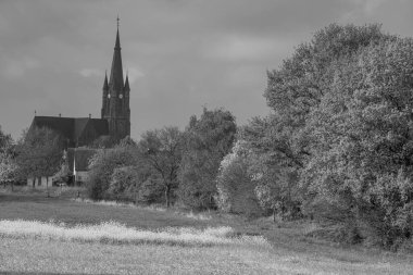 Alman Muensterland 'inde bahar geldi.