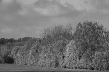Alman Muensterland 'inde bahar geldi.